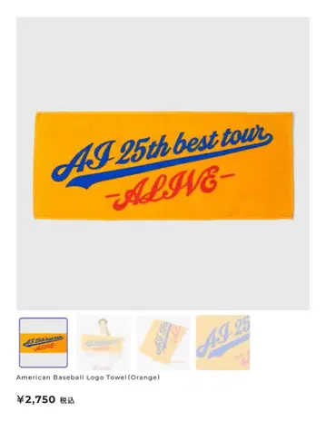 AI 25주년 베스트 투어 ALIVE 타월