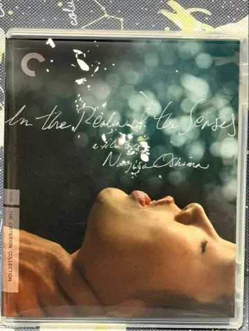 In The Realm Of The Senses (사랑의 콜레라)