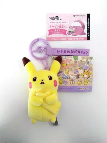 [종이상자 익명 배송] 수줍은 피카츄 덤 포함