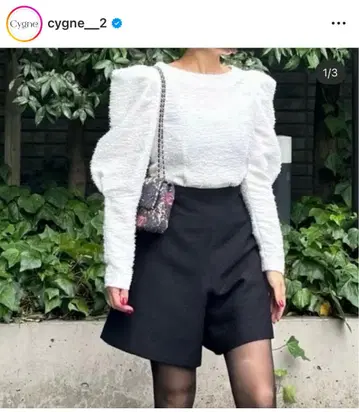 시뉴 cygne 뾰족하지 않은 라메 상의 Evelyne