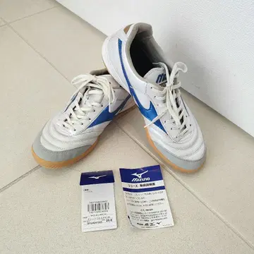 미즈노 모렐리아 사라 프로 풋살화 25cm