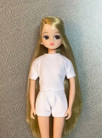 리카짱 인형 본체 리카짱 캐슬