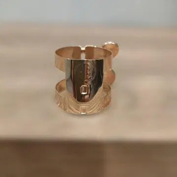 Harmonie Alto Sax PGP 리가처