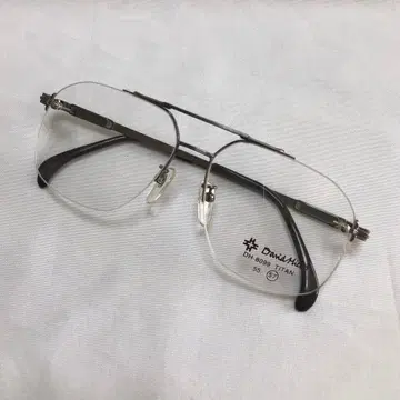 데이비드 힉스 안경 프레임