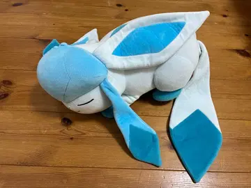 새근새근 글레이시아 봉제 인형 이브이 컬렉션 2017