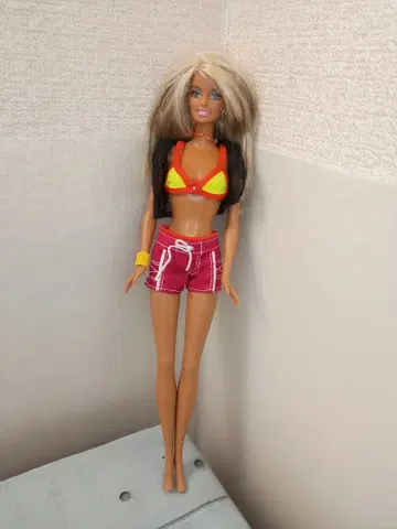 바비 인형 캘리포니아 피규어