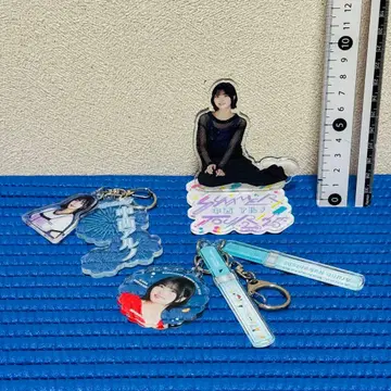 노기자카46 나카니시 아루노 아크릴 키링 아크릴 스탠드 세트 w