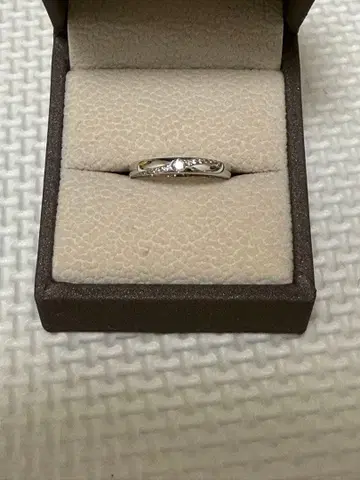 페스타리아 아뉴라스 반지