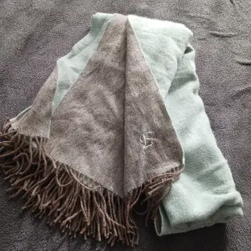 리버서블 스톨 민트 그린 브라운