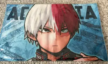 대형 타월 토도로키 쇼토