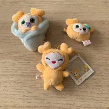 TWICE LOVELYS 지효 지브리