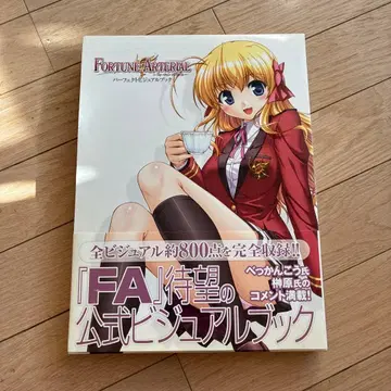 Fortune arterial 퍼펙트 비주얼 북