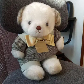 봉제 인형 체크 의류