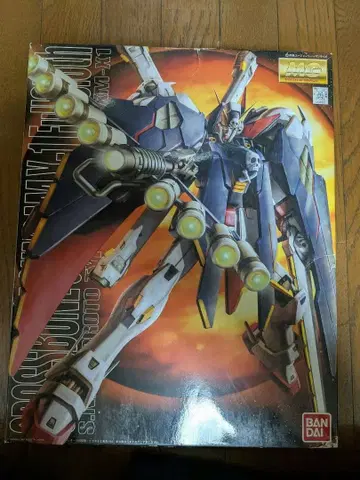 건담 프라모델 1/100 MG 크로스본 건담 X1 풀크로스