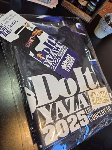 YAZAWA 2025 Do It! SS석