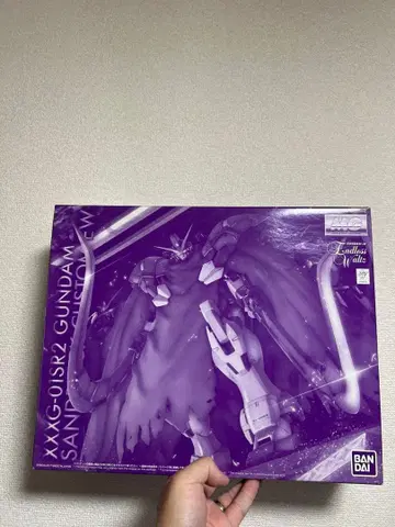 MG 1/100 건담 산드로크 EW