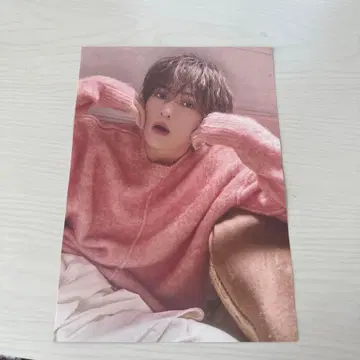 야기 유세이 플라이어