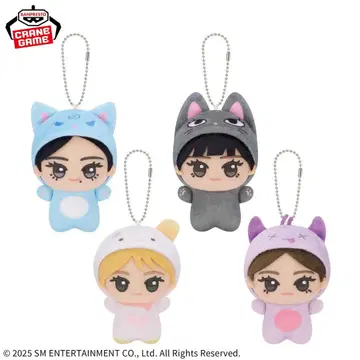 aespa SD 인형 ~캐릭터 인형옷 ver.~ 전 4종 컴프 세트