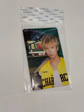 CHARACTER 하세가와 신 트레이딩 카드 2장 세트