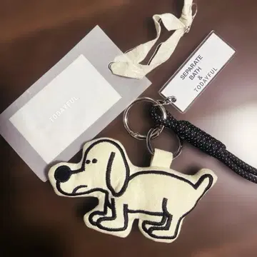 todayful x 세파스 강아지 참