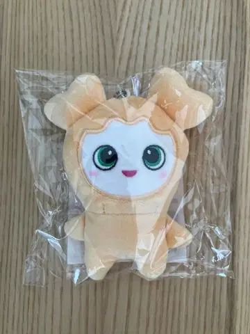 twice lovelys 리버서블 백참 지브리 지효