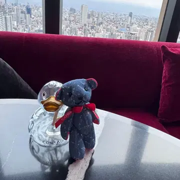 콘래드 오사카 콘래드베어 콘래드덕