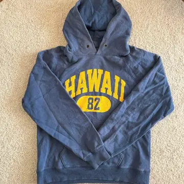 Champion x Hawaii 후드티 네이비