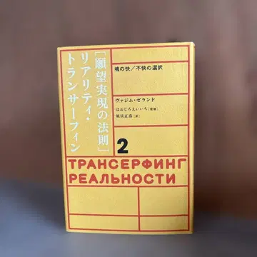 소원 성취의 법칙 : 리얼리티 트랜서핑 2 : 영혼의 쾌/불쾌 선택
