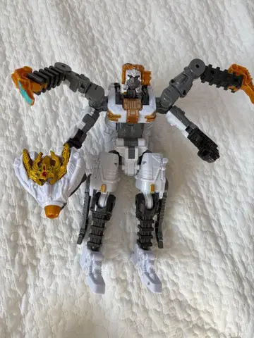 DX 타란튤라 나이트