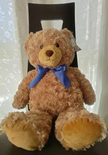 다이소 곰 봉제 인형