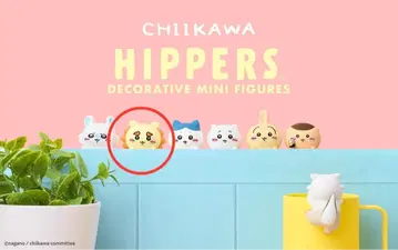 치이카와 HIPPERS