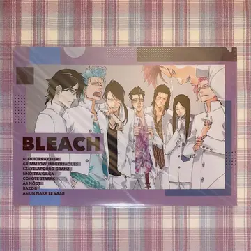 BLEACH 별 십자가 학원 클리어 파일