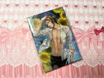 CAPCOM 캡콤 40주년 캡복권 갇힌 팔마 캔뱃지 아오이