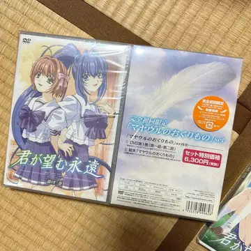 네가 바라는 영원 DVD 세트