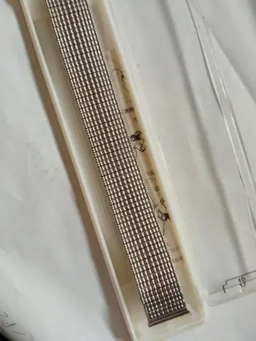 스테인리스 스틸 메쉬 시계 밴드 17mm