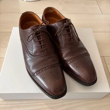 스코치 그레인 SCOTCH GRAIN 브라운 24.5cm