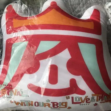 아라시 페스 13 쿠션