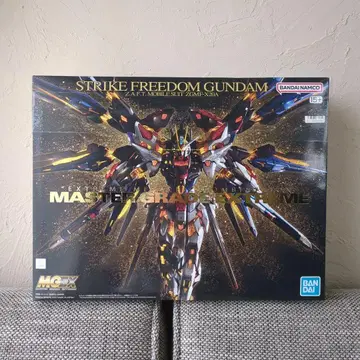 MG 스트라이크 프리덤 건담