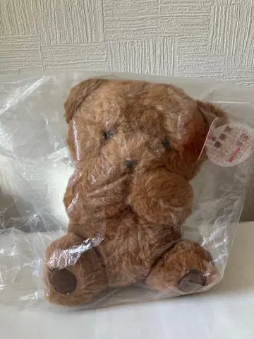 포징 곰돌이 브라운 꽃 달았어?