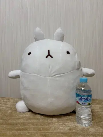 MORANG 모란 모랑 빅 봉제 인형