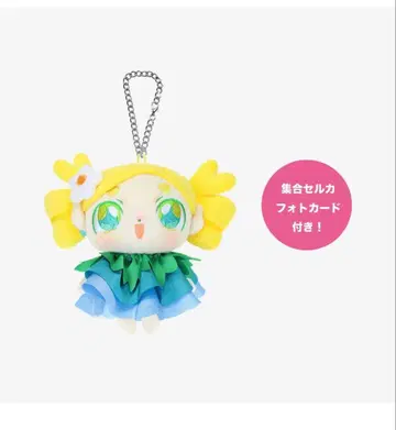 새상품 TWICE 백참 미이짱 THIS IS FOR 트레이딩 카드 포함