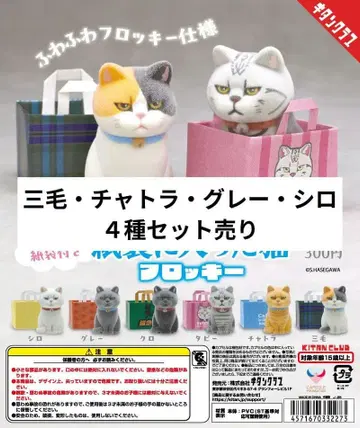 종이 봉투에 들어간 고양이 플로키 4종