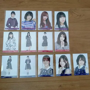 노기자카46 브로마이드 13장 세트