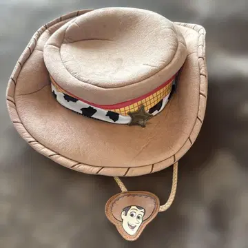 디즈니 리조트 우디의 모자