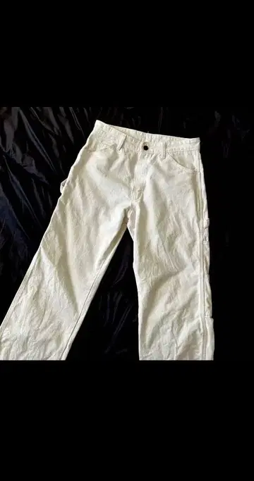 Dickies 화이트 페인터 팬츠 US 규격 00s W30