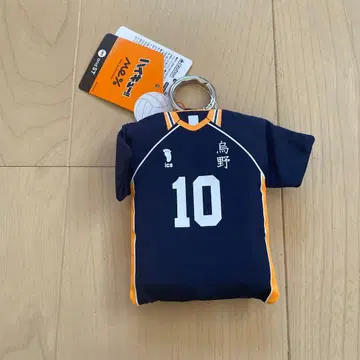 하이큐 에코백 andST 카라스노 고교