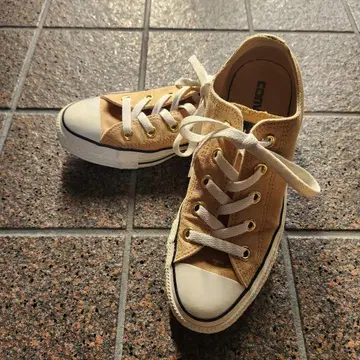 CONVERSE ALL STAR 베이지 로우컷 23cm