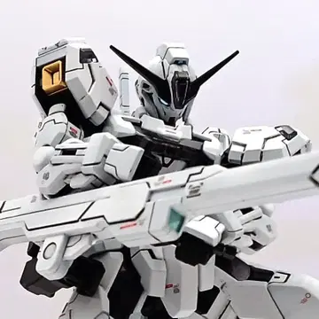 HG 건담 칼리버 5호기 개수 전체 도색 완성품