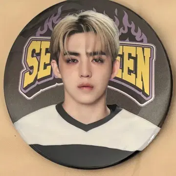 SEVENTEEN 세븐틴 HOME 캔뱃지 에스쿱스