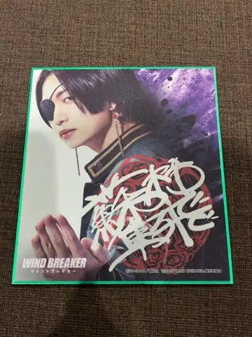 영화 WINDBREAKER 츠나 케이토 미니 색지